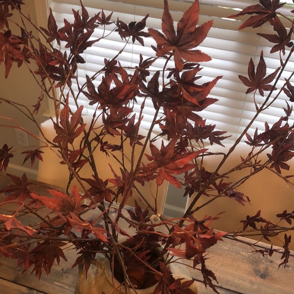 COPY - COPY - 45” Burgundy Maple leaves stem. - Picture 5 of 6